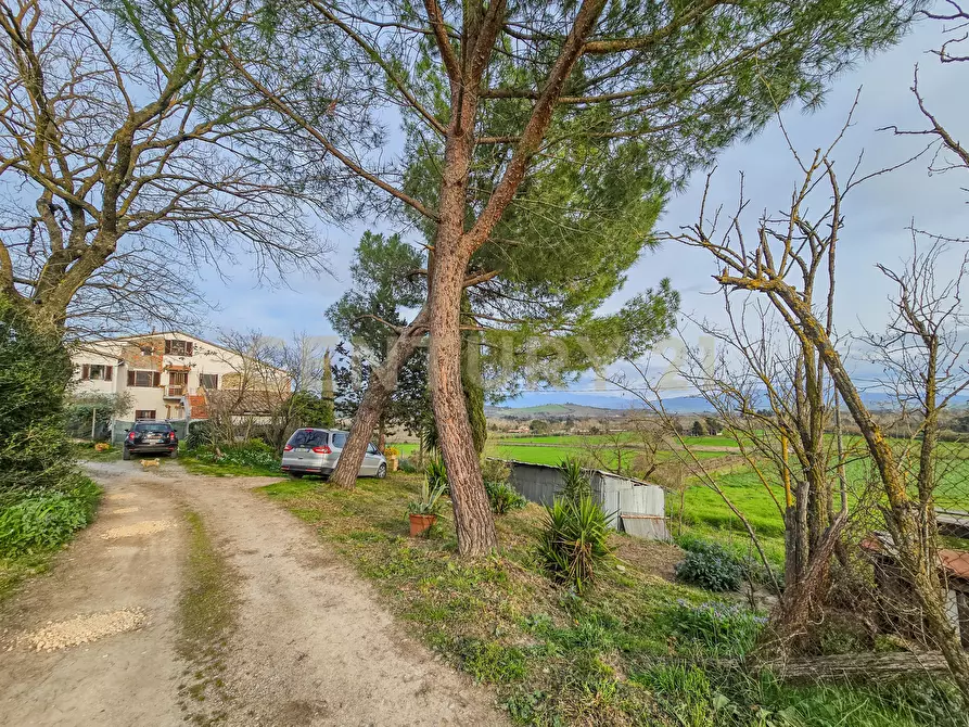 Immagine 3 di Terratetto in vendita  in Strada Interpoderale delle Baracche 5 a Civitella Paganico