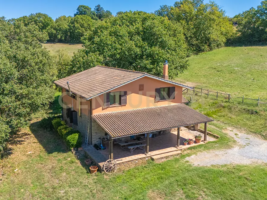 Immagine 11 di Rustico / casale in vendita  in località san quirichello a Barbarano Romano