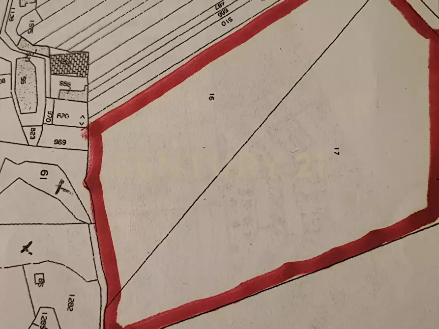 Immagine 1 di Terreno agricolo in affitto  in Via Gravina Girolamo a Catania