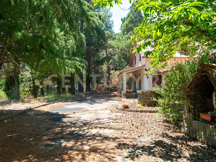 Immagine 10 di Villa in affitto  in Strada Regionale Mareneve SNC a Linguaglossa