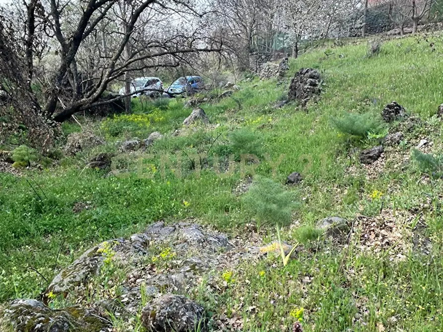 Immagine 7 di Terreno agricolo in vendita  in CONTRADA VIGNE a Biancavilla