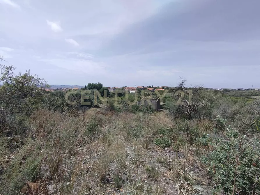 Immagine 8 di Terreno agricolo in vendita  in CONTRADA MANGIONE snc a Catania