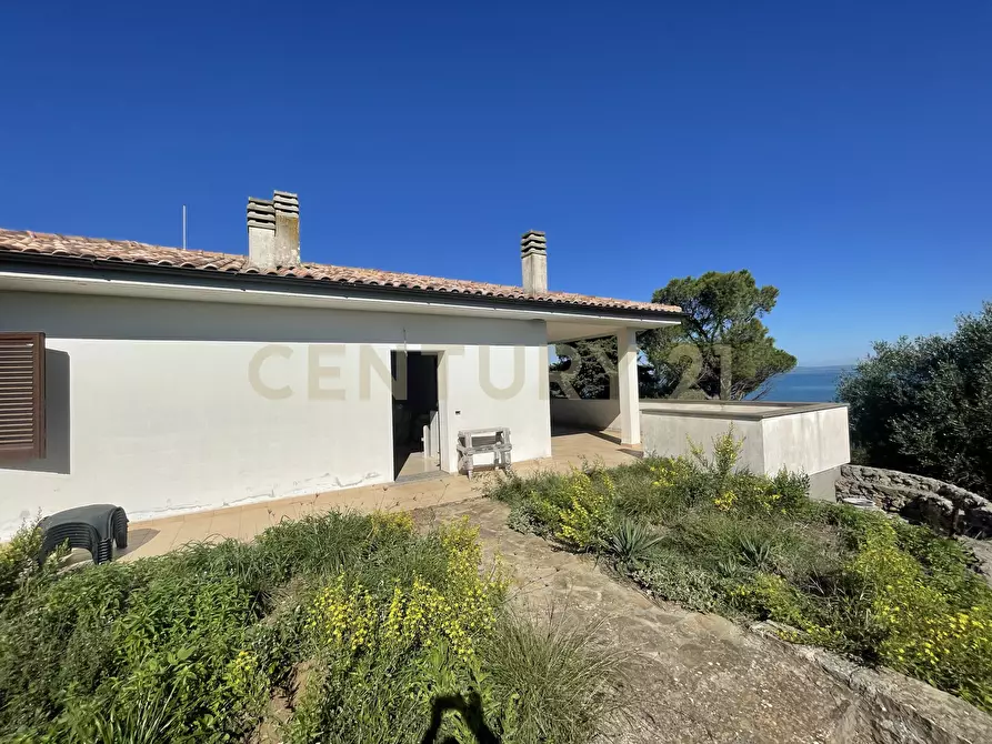 Immagine 4 di Villa in vendita  in località santa liberata a Monte Argentario