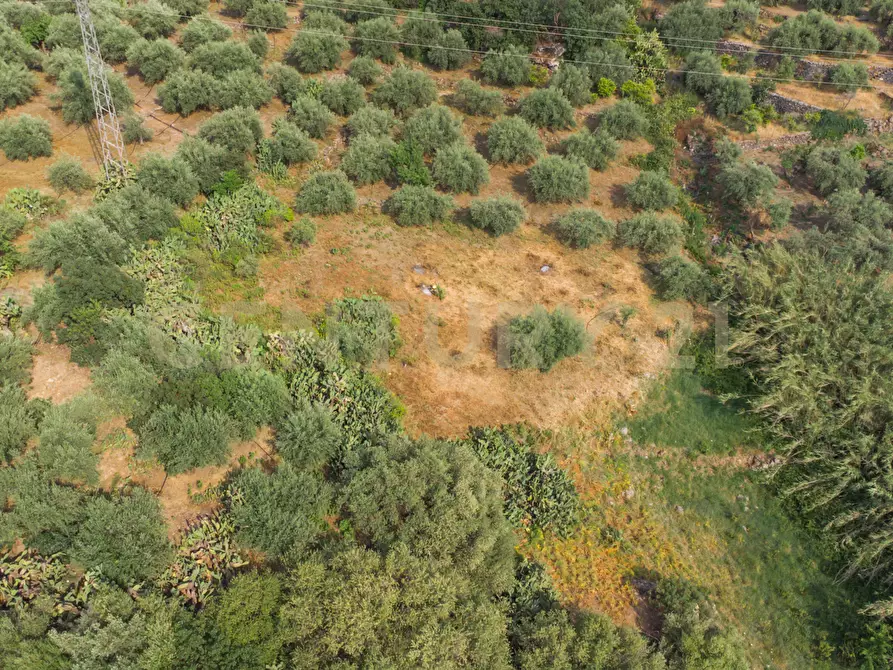 Immagine 32 di Terreno agricolo in vendita  in Via San Leo a Adrano