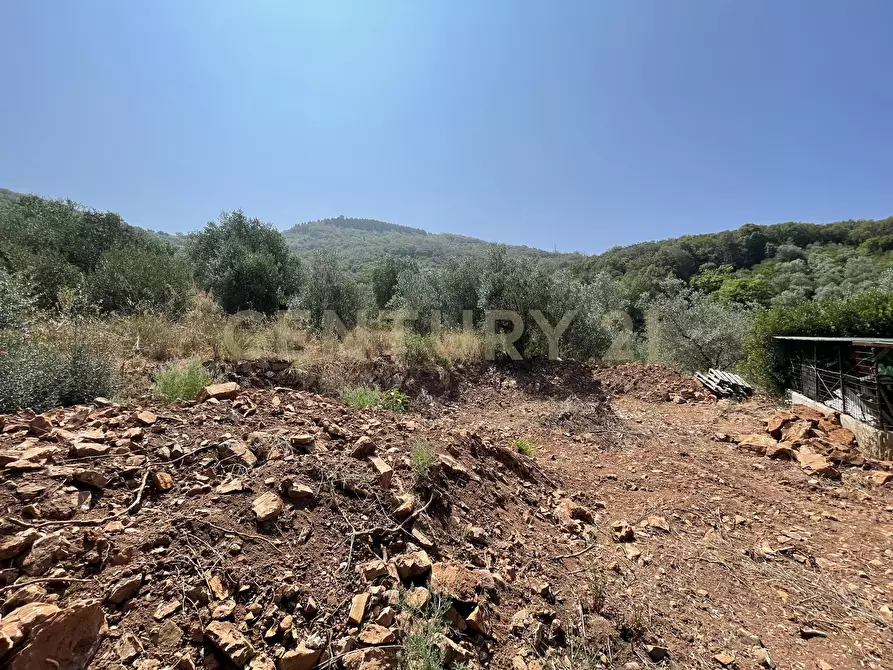 Immagine 14 di Rustico / casale in vendita  in località cannatelli snc a Monte Argentario