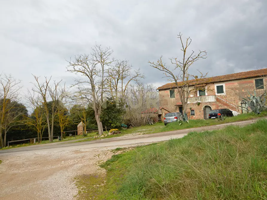 Immagine 1 di Rustico / casale in vendita  in Via Maria Alessandra Barbantini 8 a Grosseto