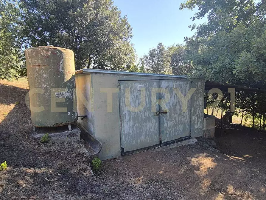 Immagine 34 di Azienda agricola in vendita  in località poggio al capraio snc a Roccastrada