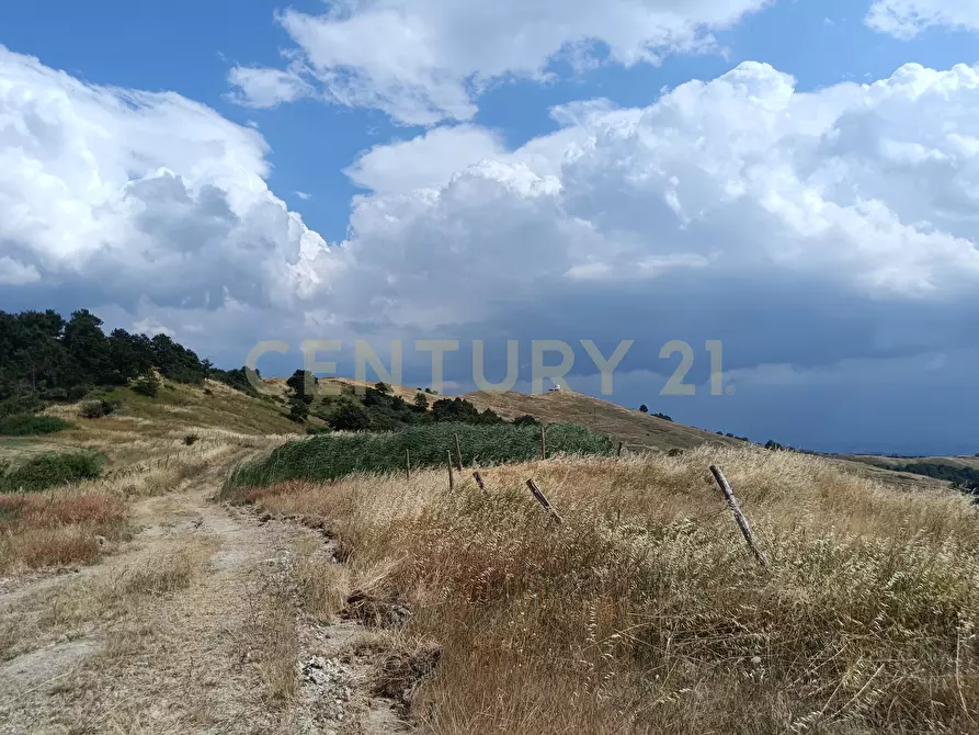 Immagine 2 di Terreno edificabile in vendita  in Località Podere Scarpetta 90 a Radicofani