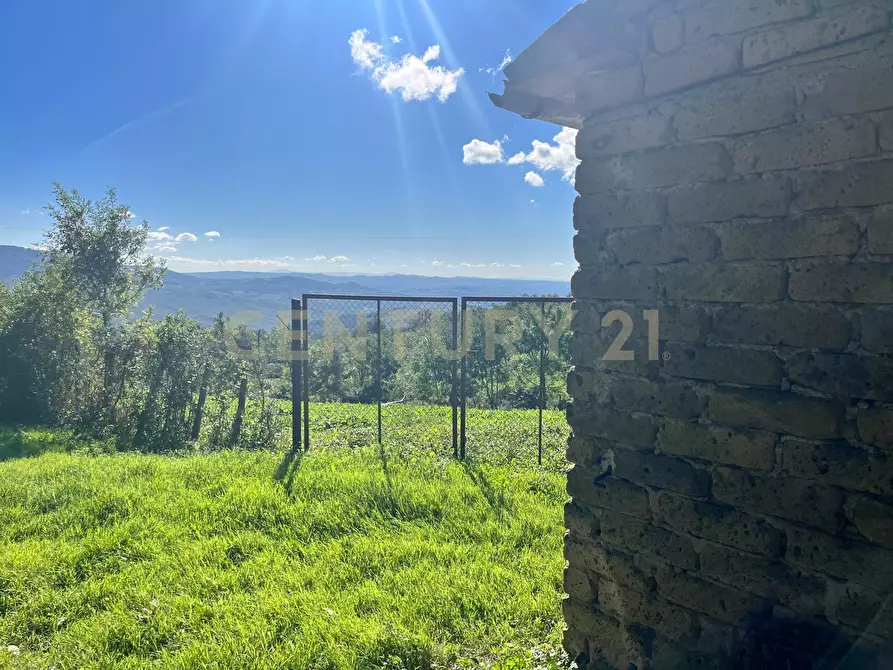 Immagine 3 di Rustico / casale in vendita  in strada vicinale petricci snc a Semproniano