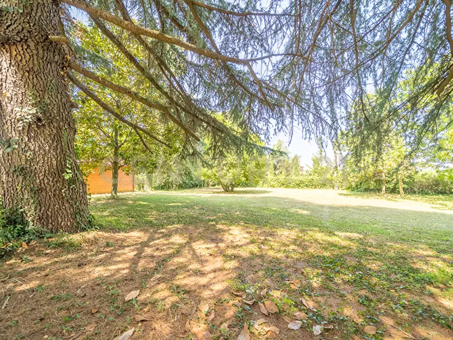 Immagine 60 di Villa in vendita  in Via Pedemontana 319 a Palestrina