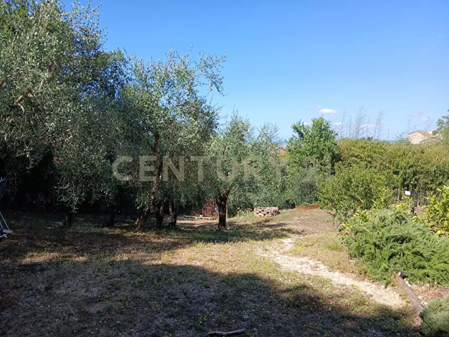 Immagine 41 di Villa in vendita  in Località Poggio Murella 165 a Manciano