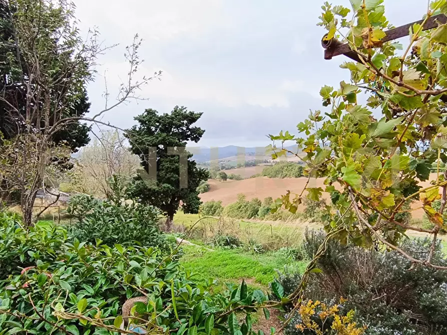 Immagine 26 di Casa indipendente in vendita  in località le croste snc a Manciano