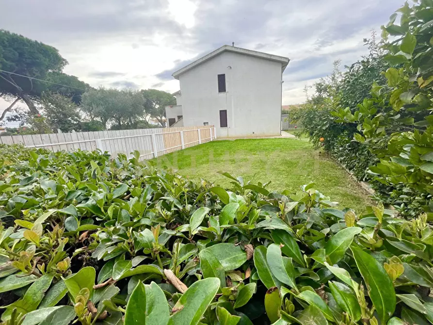 Immagine 1 di Pentalocale in vendita  in strada della selva nera 12/A a Capalbio