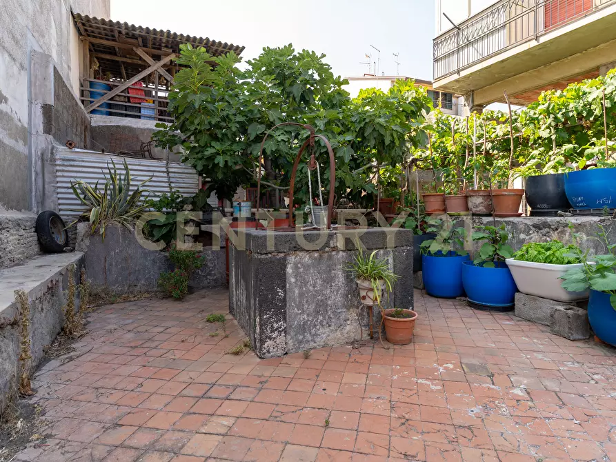 Immagine 4 di Casa indipendente in vendita  in Via Roma 66 a Camporotondo Etneo