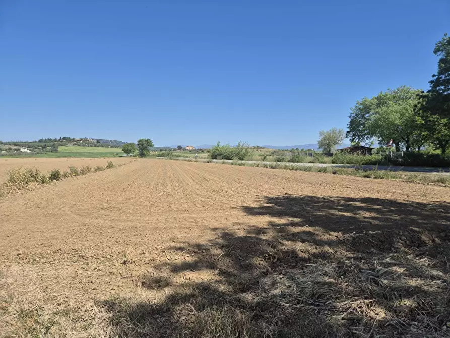 Immagine 12 di Terreno agricolo in vendita  in loc. Badia Vecchia a Castiglione Della Pescaia