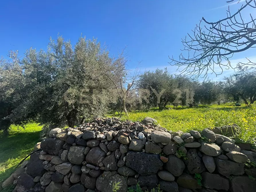 Immagine 42 di Terreno agricolo in vendita  in contrada agnelleria a Belpasso
