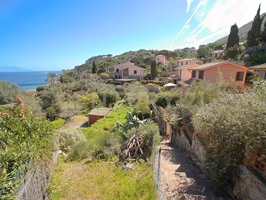 Immagine 20 di Quadrilocale in vendita  in Via dell'Arenella a Isola Del Giglio