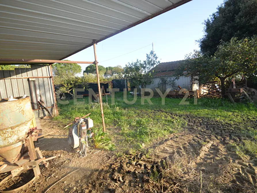 Immagine 29 di Terreno agricolo in vendita  in Strada del Querciolo 125 a Grosseto