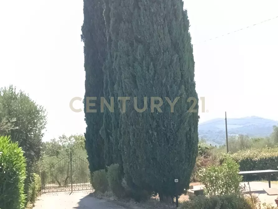 Immagine 18 di Rustico / casale in vendita  in Località Podere di Mezzo 16 16 a Gavorrano