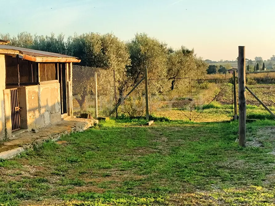 Immagine 2 di Rustico / casale in vendita  in Strada Pedemontana a Capalbio