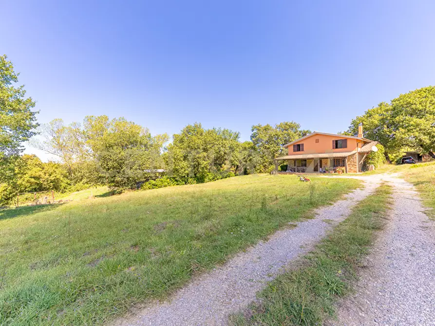 Immagine 20 di Rustico / casale in vendita  in località san quirichello a Barbarano Romano