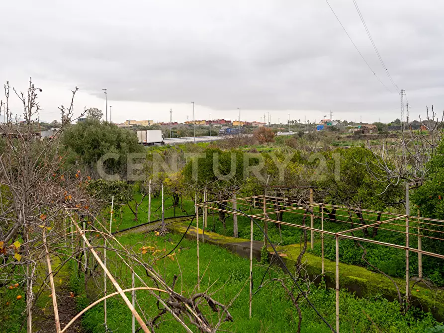 Immagine 71 di Villa in vendita  in Via delle Camelie 20 a Misterbianco