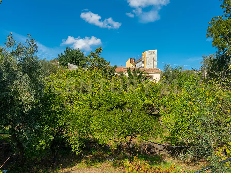 Immagine 25 di Villa in vendita  in Via di Bartolo a San Gregorio Di Catania