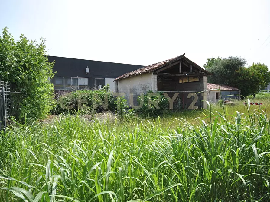 Immagine 11 di Palazzo in vendita  in Via Padovana 1a a Arcole