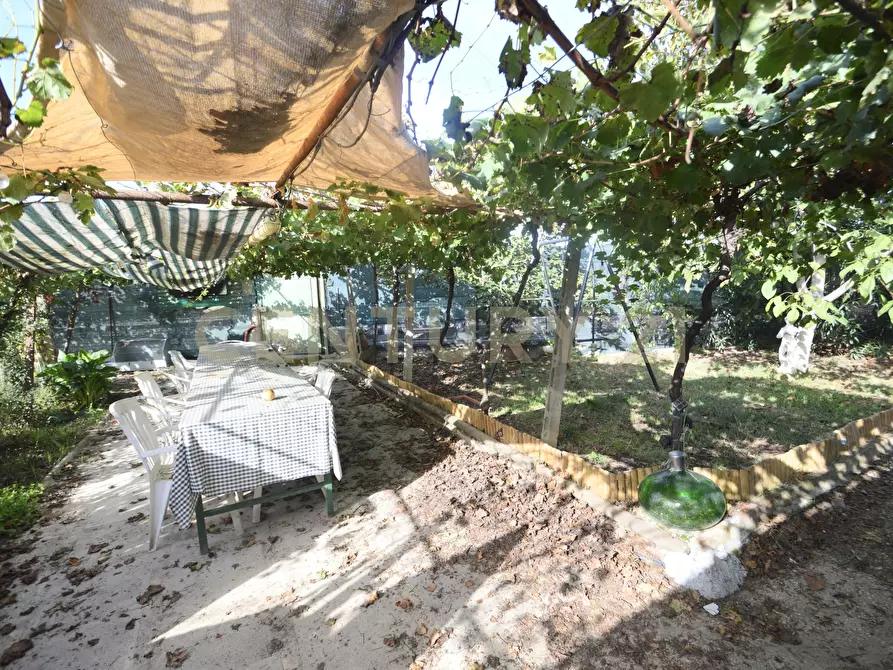 Immagine 4 di Terreno agricolo in vendita  in Via Alberto Sordi 12 a Grosseto