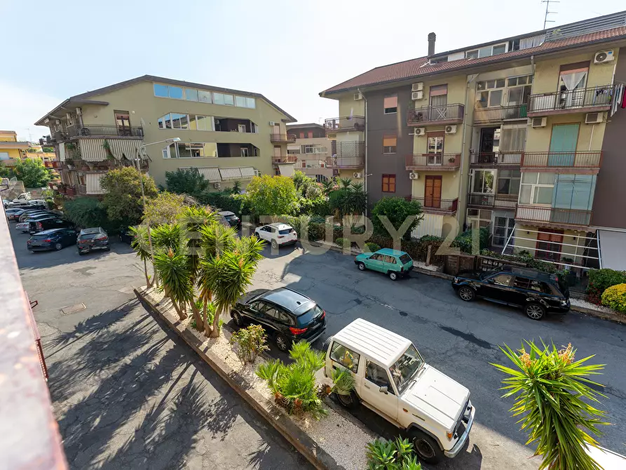 Immagine 28 di Appartamento in vendita  in Via Sgroppillo 21 a San Gregorio Di Catania