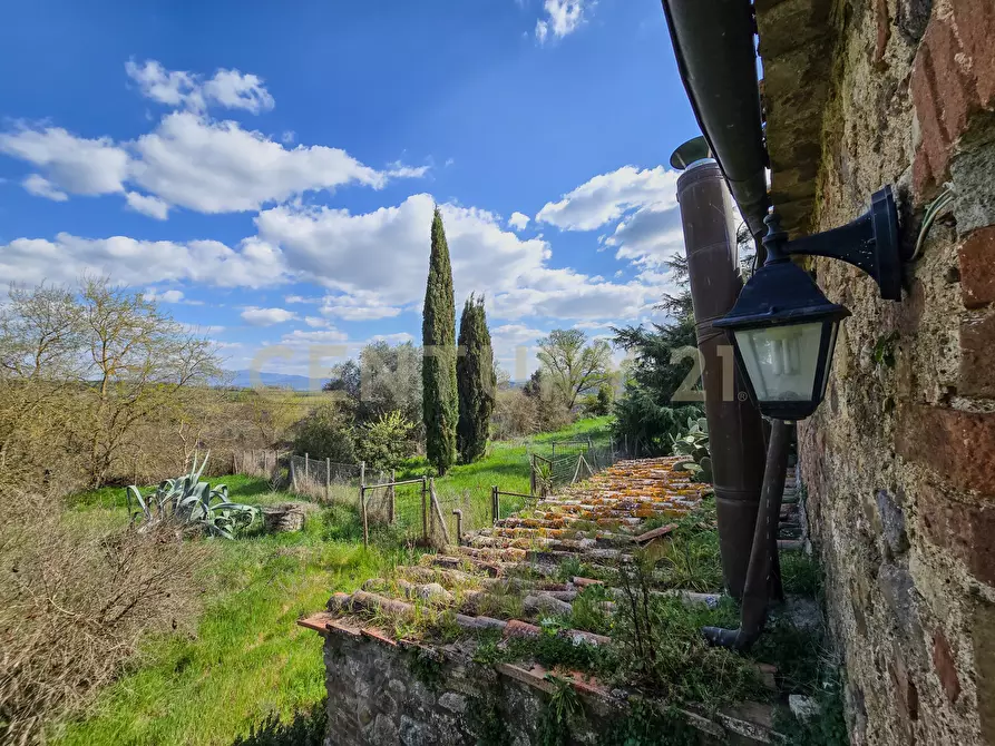 Immagine 12 di Rustico / casale in vendita  in Vial podere nuovo snc a Civitella Paganico