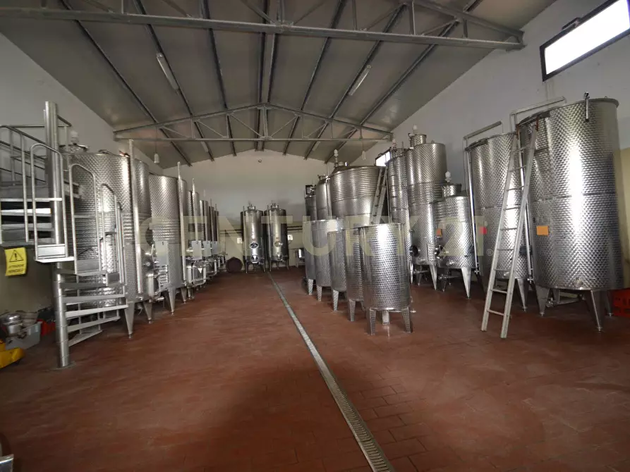 Immagine 28 di Rustico / casale in vendita  a Grosseto