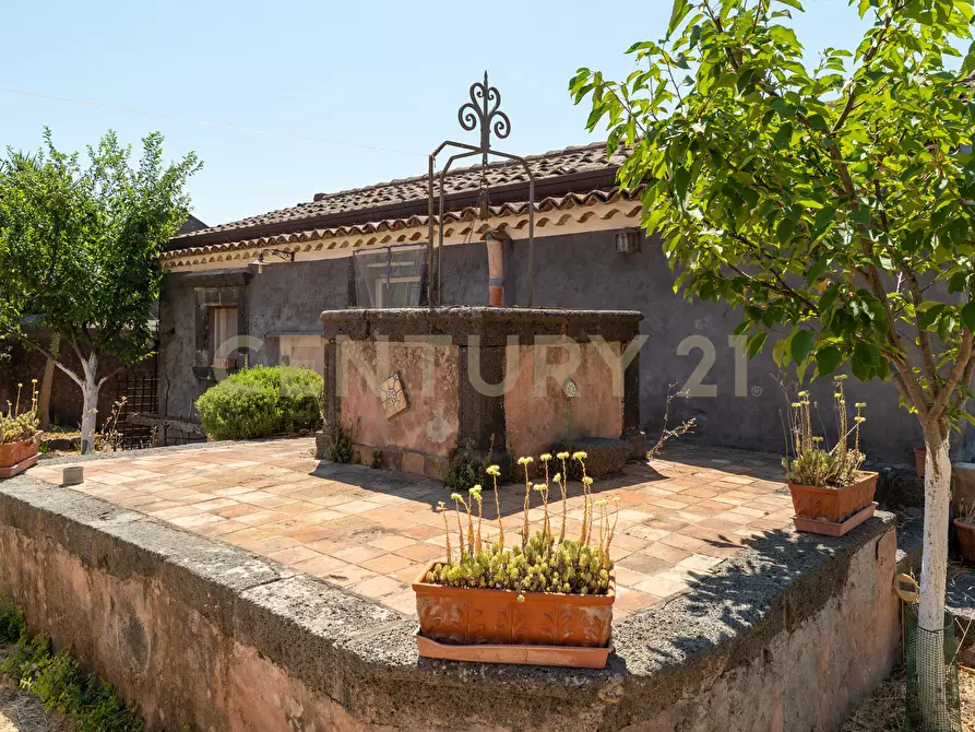 Immagine 5 di Villa in vendita  in Via Calvario 43 a Mascalucia