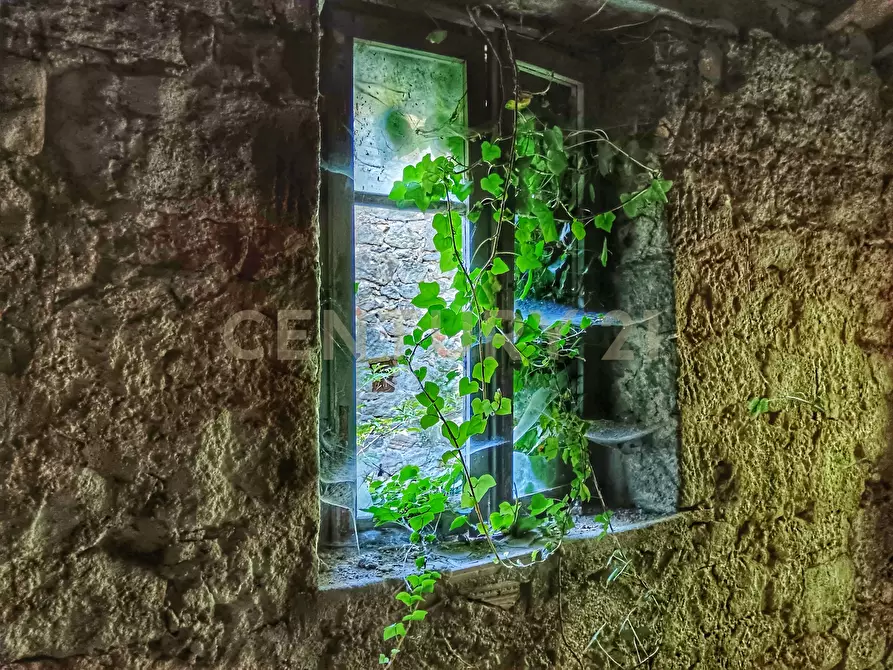 Immagine 3 di Rustico / casale in vendita  in Via dell'Eremo 1 a Castiglione D'orcia