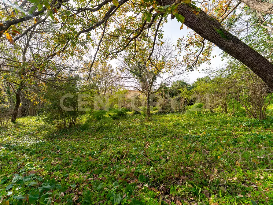 Immagine 21 di Villa in vendita  in CONTRADA ALBORETTO a Linguaglossa