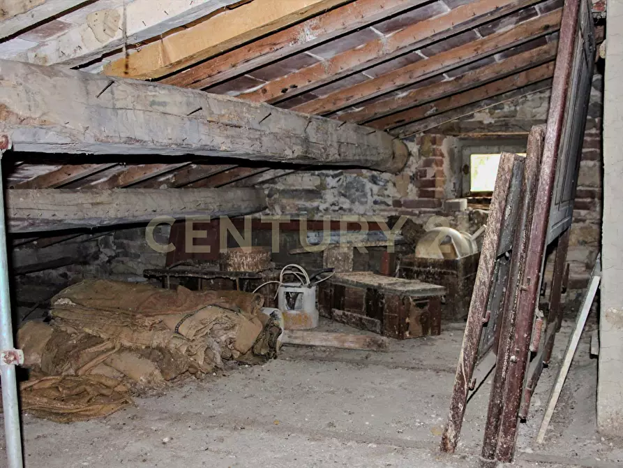 Immagine 11 di Rustico / casale in vendita  in Località Preselle sp 159 a Scansano