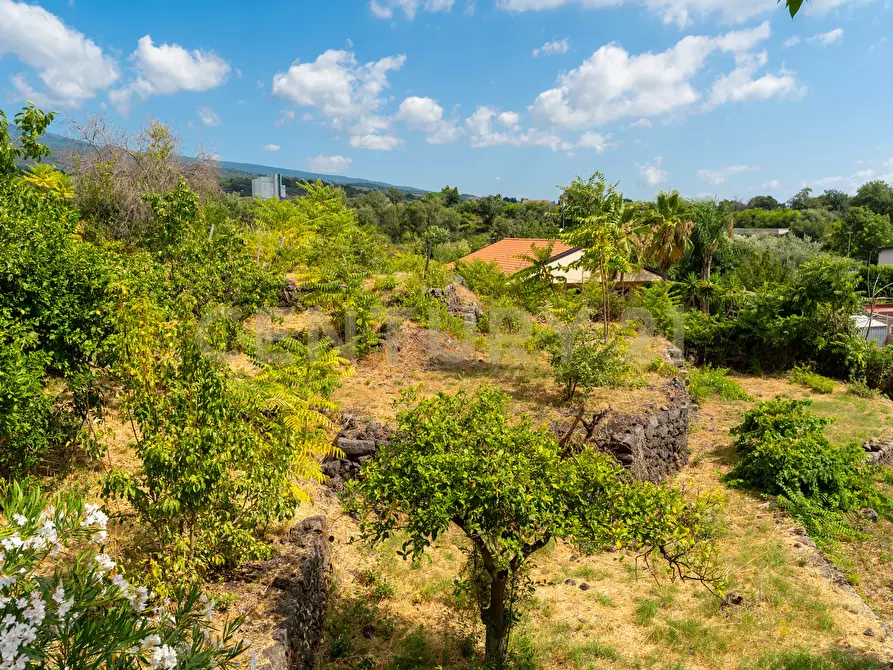 Immagine 27 di Villa in vendita  in Via Grazia Deledda 28 a Santa Venerina