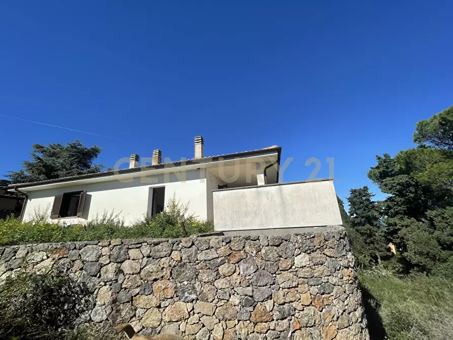 Immagine 3 di Villa in vendita  in località santa liberata a Monte Argentario