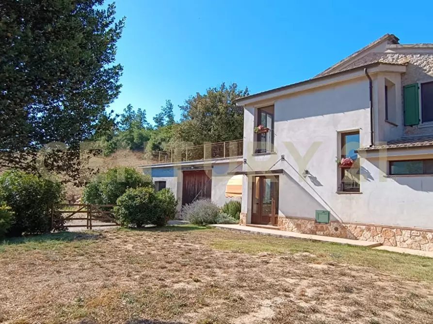 Immagine 21 di Rustico / casale in vendita  a Manciano