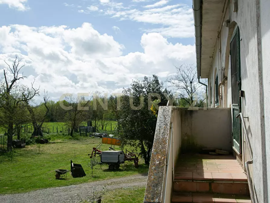 Immagine 15 di Rustico / casale in vendita  a Civitella Paganico