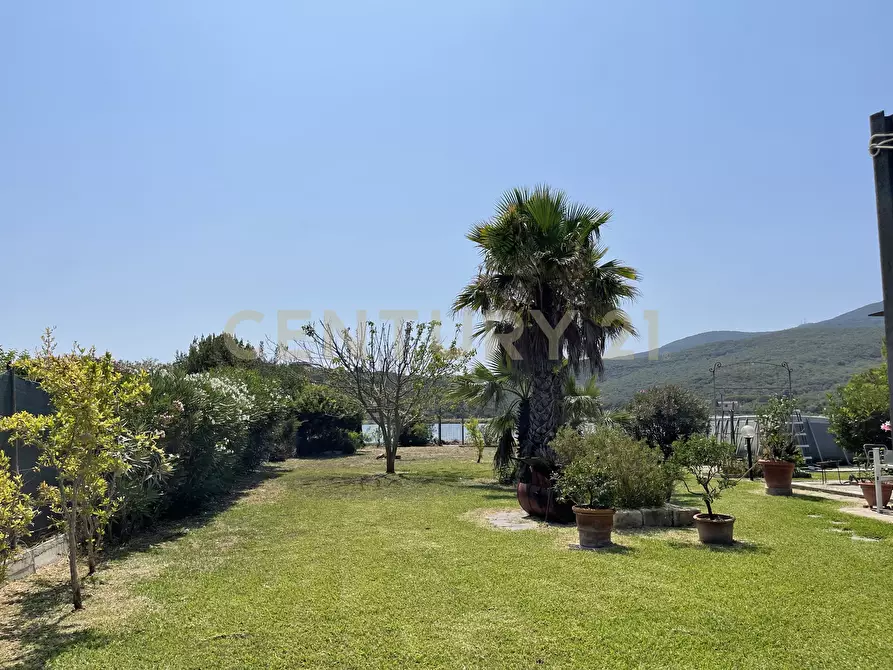 Immagine 22 di Terreno agricolo in vendita  in Strada Provinciale della Giannella a Orbetello