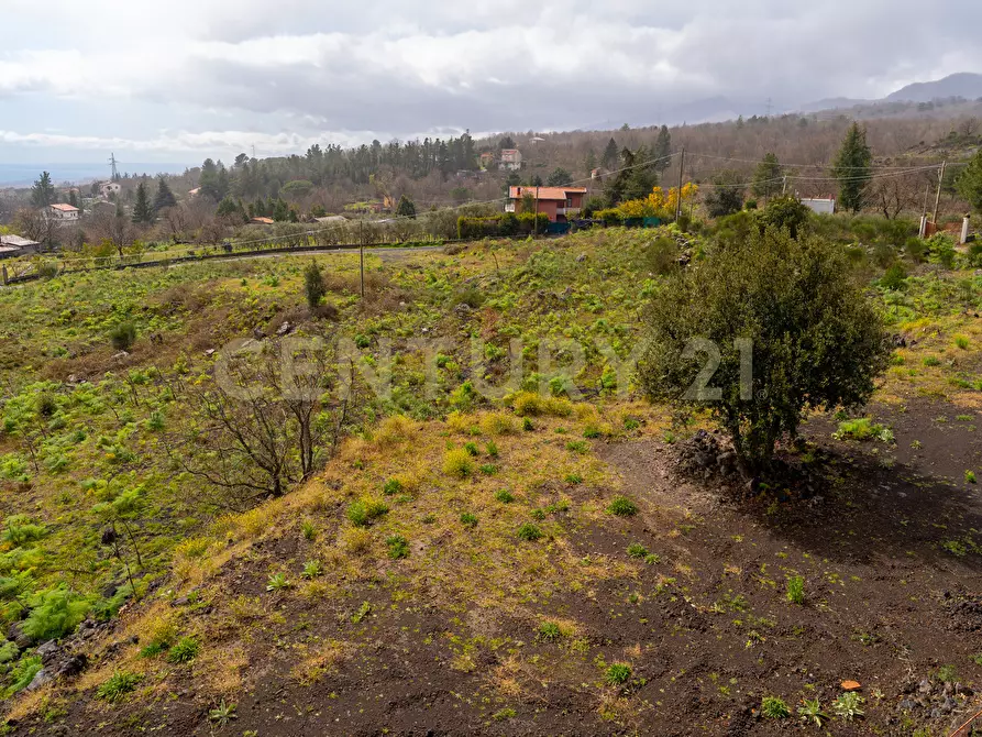 Immagine 24 di Terreno edificabile in vendita  in Via Nocille 55 a Mascali