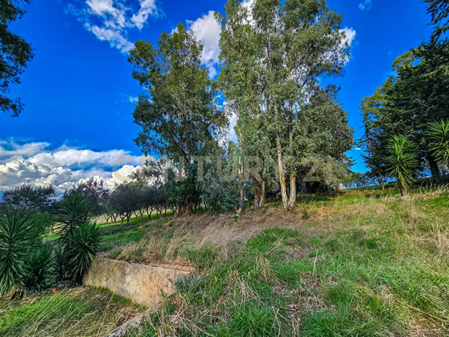 Immagine 24 di Rustico / casale in vendita  in Strada Provinciale Lupo a Gavorrano