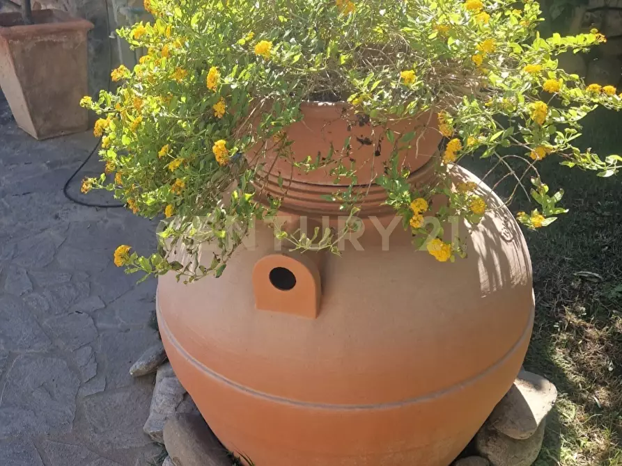 Immagine 13 di Casa indipendente in vendita  in Vico Fontana Mura 4 a Giba