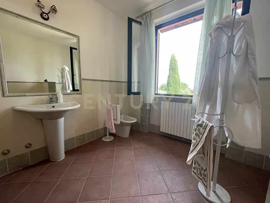 Immagine 32 di Azienda agricola in vendita  in località colle di lupo a Magliano In Toscana