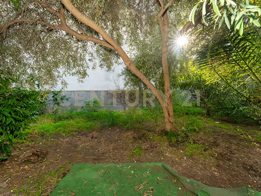 Immagine 16 di Casa indipendente in vendita  in Via Re Martino 212 a Catania