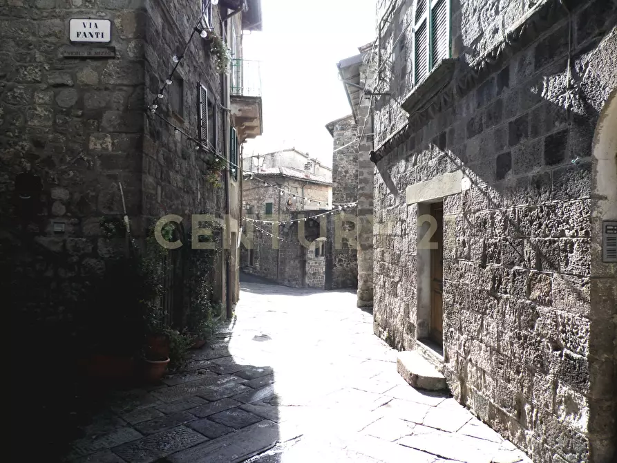 Immagine 10 di Bilocale in vendita  in Via Pinelli 9 a Abbadia San Salvatore