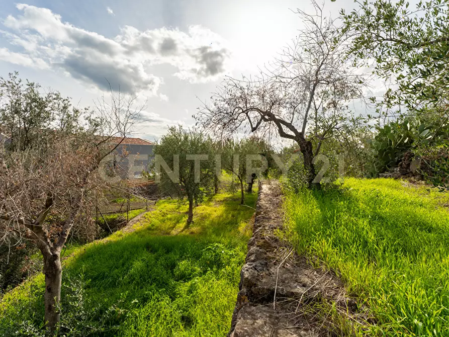 Immagine 33 di Terreno agricolo in vendita  in Via Cerza 35 a San Gregorio Di Catania