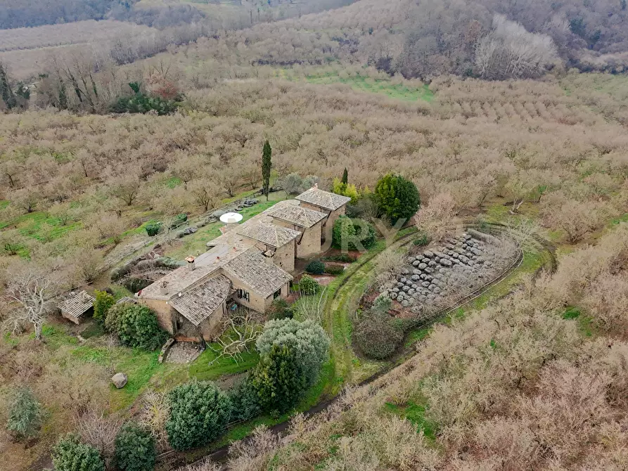 Immagine 10 di Villa in vendita  in Località Campo Rotondo snc a Capranica