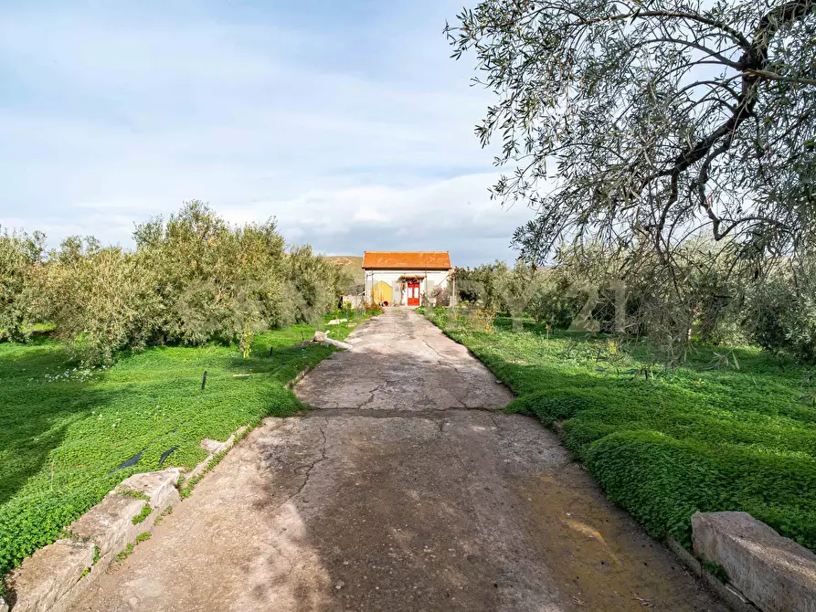 Immagine 2 di Terreno agricolo in vendita  in Contrada San Francesco snc a Paterno'